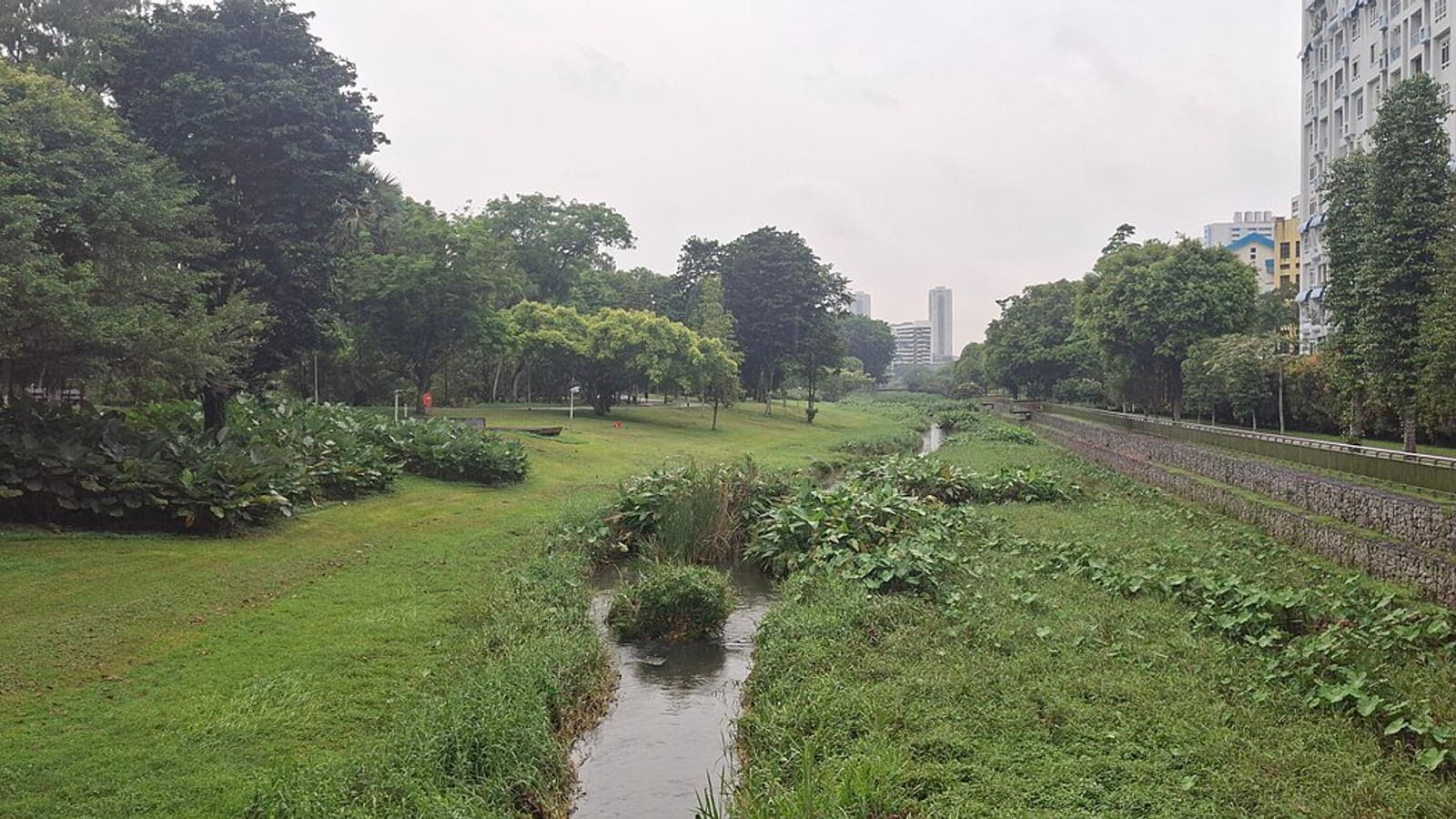 The naturalised river through Bishan-Ang Mo Kio Park