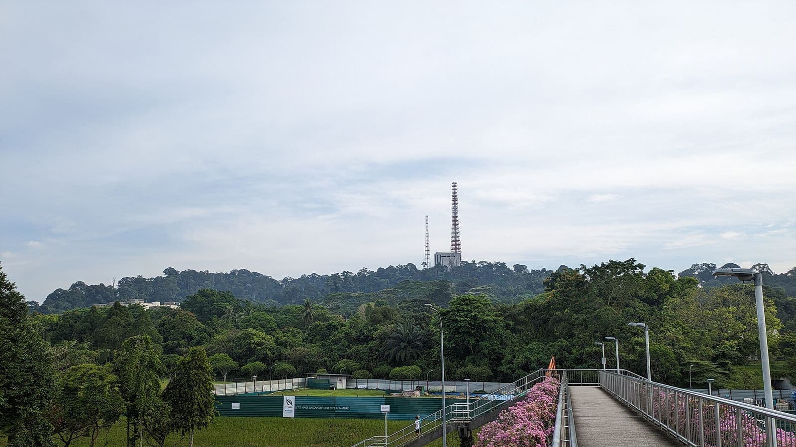 The wooded slope of Bukit Timah Hill