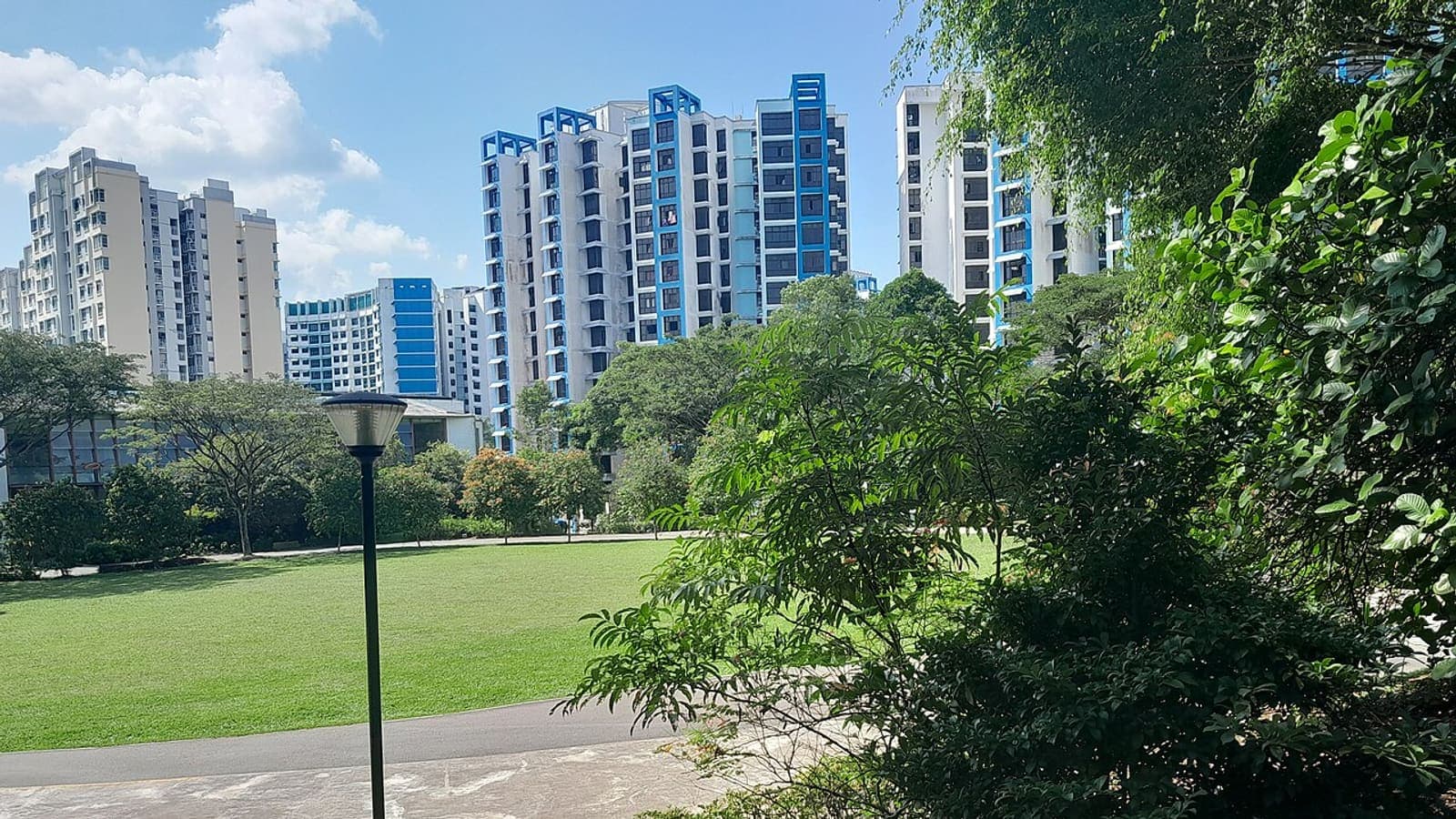 HDB blocks above an open field in Bukit Panjang